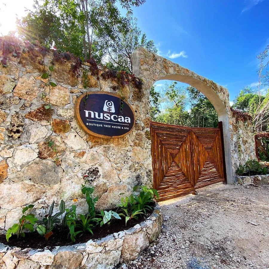 Nuscaa Boutique Tree House & Spa Hotel Puerto Morelos