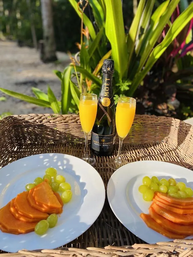 Nuscaa Boutique Tree House & Spa Hotel Puerto Morelos Mexico