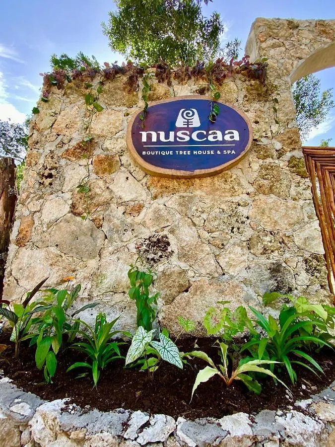 Nuscaa Boutique Tree House & Spa Hotel Puerto Morelos