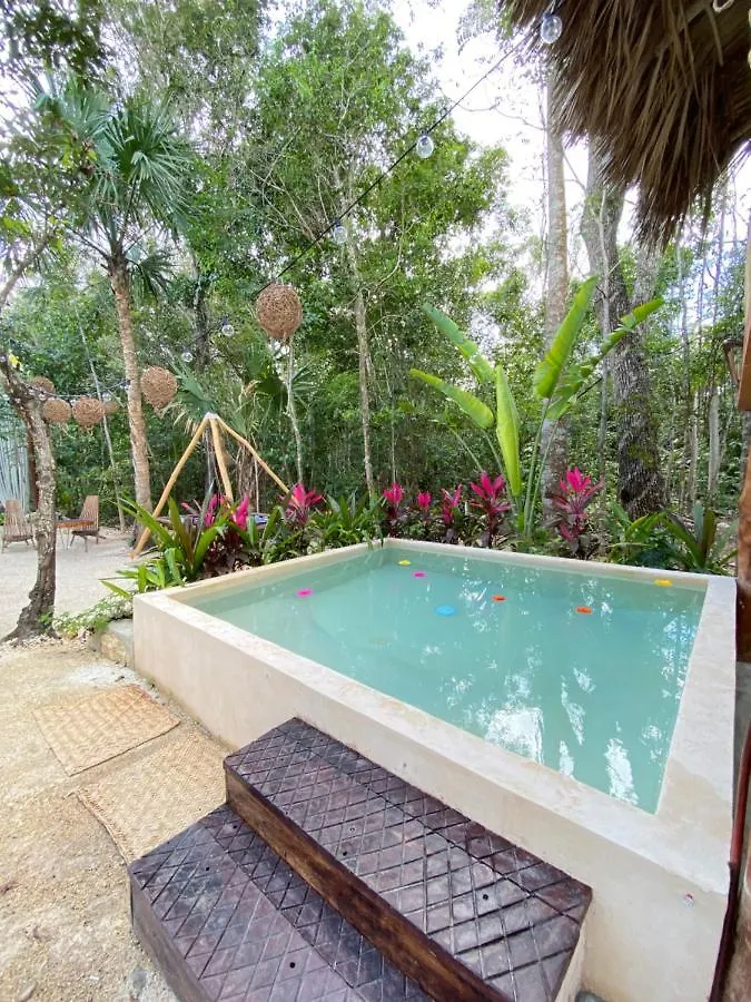 Nuscaa Boutique Tree House & Spa Hotel Puerto Morelos