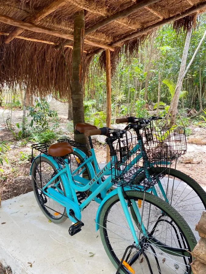 Nuscaa Boutique Tree House & Spa Hotel Puerto Morelos 4*,