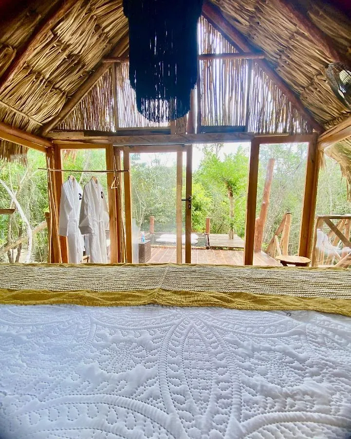 Nuscaa Boutique Tree House & Spa Hotel Puerto Morelos 4*,