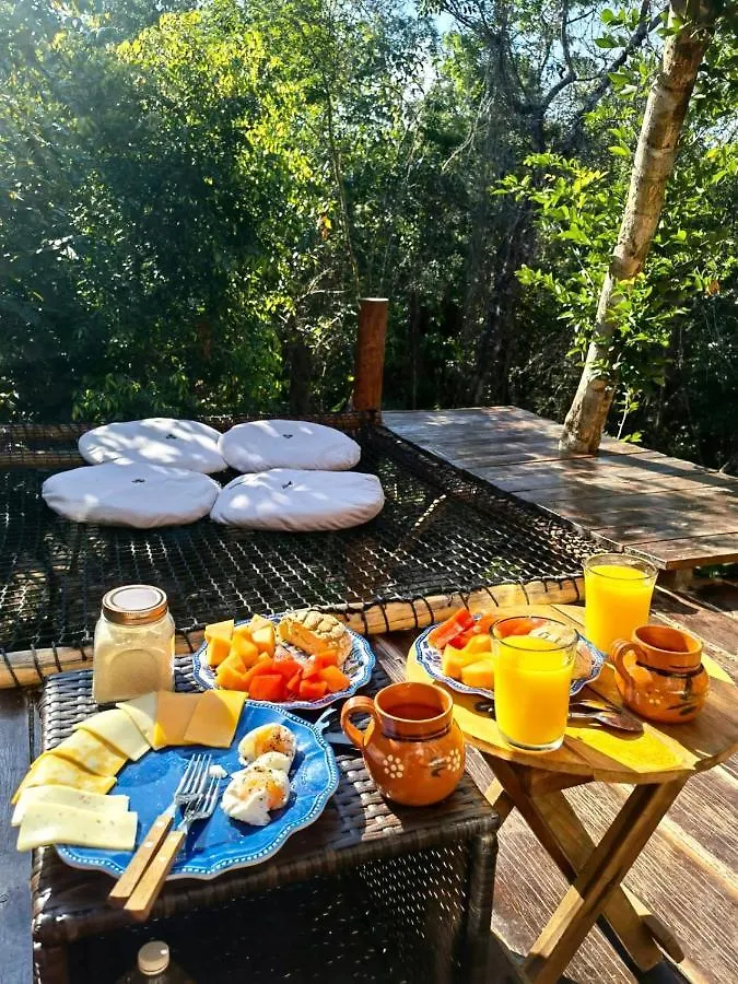 ****  Nuscaa Boutique Tree House & Spa Hotel Puerto Morelos Mexico