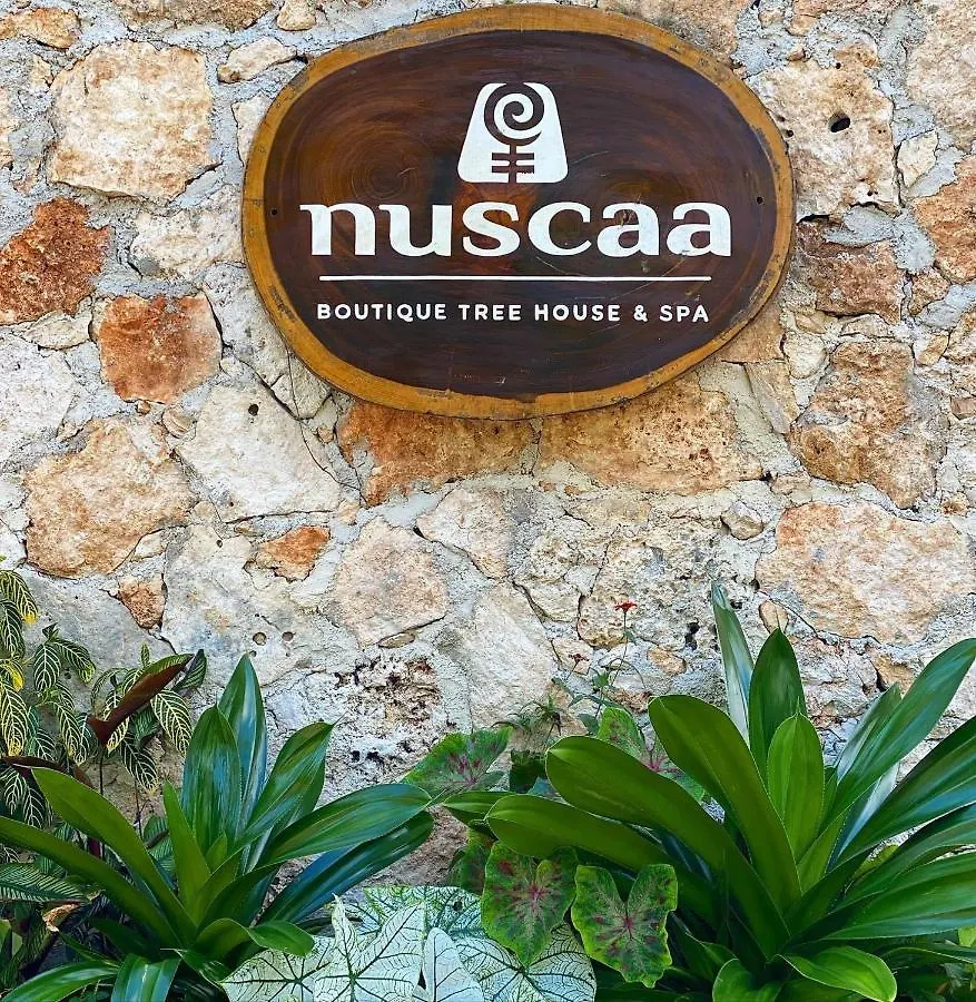 Nuscaa Boutique Tree House & Spa Hotel Puerto Morelos